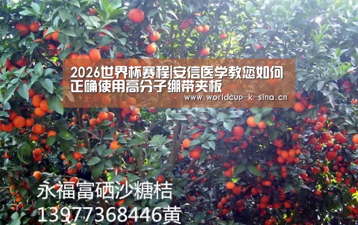 2026世界杯赛程