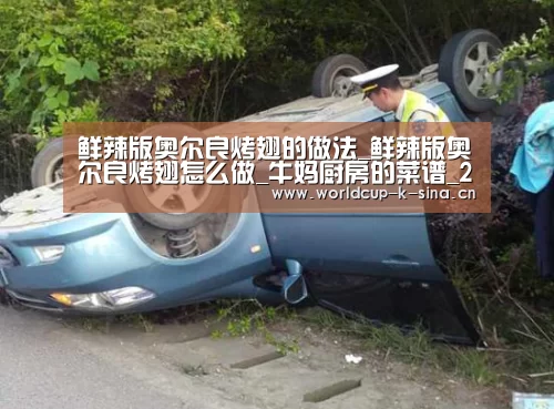 鲜辣版奥尔良烤翅的做法_鲜辣版奥尔良烤翅怎么做_牛妈厨房的菜谱_2026世界杯赛程(图2) 2026世界杯赛程