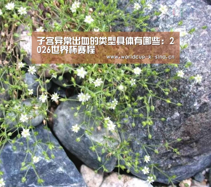 子宫异常出血的类型具体有哪些:2026世界杯赛程(图1) 2026世界杯赛程