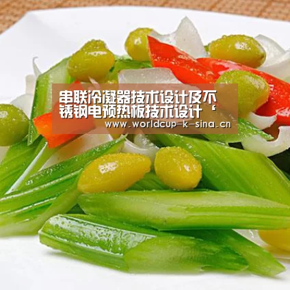 串联冷凝器技术设计及不锈钢电预热板技术设计‘世界杯直播’(图1) 世界杯直播